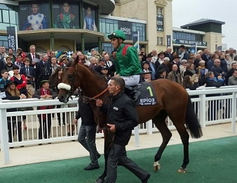 Zarak lors de la journée du Jockey Club