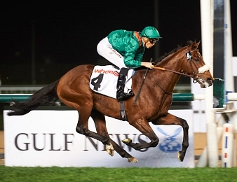 Zarak part au haras pour sa carrière d'étalon