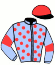 Silk Racing Co Ltd