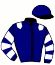 Amerman Racing, Llc
