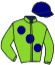 Argella Racing / Gemini Stud