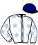 B. Hermelin/jc Rouget Sa