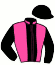 B. Horse