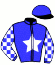 Belhusracingstables Syndicate(