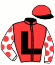 Bloom Racing Stable, Llc