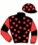 Brave Bid Syndicate (Nom: Yagan Nair), Messrs G L Blank, B Marcus & I F M Van