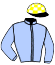 B.S.F. Ltd