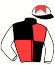 Buy,clarke,whatley & Panther Racing