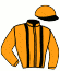 B.V. Top Kip