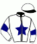 C. Auche/c. Melet/l. Roumegoux