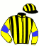 Co. Ltd Shadai Race Horse