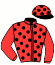 C.Trecco/g.Salussolia/b. Boitez