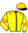 D.Giteau/s.Provost/b. Lefevre