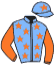 Denalie Racing/d. Paulou