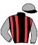 Dr H Nhlapo & Messrs J M Cola, A C Fortune, F Vahab, M E Wilken & Purple Kingdom