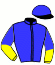 D.S.M. Trotting