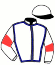 E. Ruiz Colechar/haras du Ma/dwan