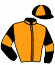 Earl Haras du Grand Chesnaie