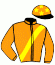 Ec.  d'Altemps Srl