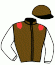 Ec. de Roebeck/y. Fouin(S)