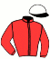 Ec.  Fast Horse Srl