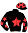 Ecurie  Leprince Quinton