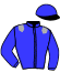 Ec. Vibelzee Jds Racing (hol)