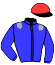 Ecurie  Vibelzee Bv