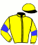 Ecurie Lady Lady Wise