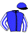 Ec.  Orizzonte Group S.R.L