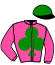 Ecurie  Rose Et Vert