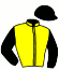 Ecurie  V.O.F. Consultancy Solu