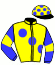 Edwards E