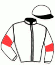 E.Ruiz Colechar/p. Philippot