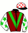 Fabulous Horse Syndicate