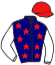 Faucampr/equus/michelot/plessiet