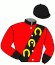 Firma Saga Horse