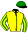 Foret Jaune /J. Phelippon