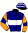 Fortune Stallion Syndicate