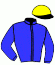 F.T. Fairlane Trotting Hb