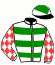 Gallop Racing & Partner
