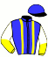 Galopp-Freund-Baltrum