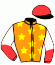 Glenealy Winner Syndicate