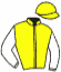 Guy Pariente Holding / F. Chappet