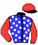 H. Peeters Racing/niederlande