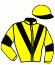 Haras de Magouet/f. Thibaudeau