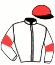 Haras de Plasence/v Saint-Palais