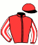 Haras de St Voir/ecurie Joubert