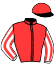 Haras de St Voir / P. Joubert