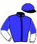 Haras des Adelis/ecurie Salabi